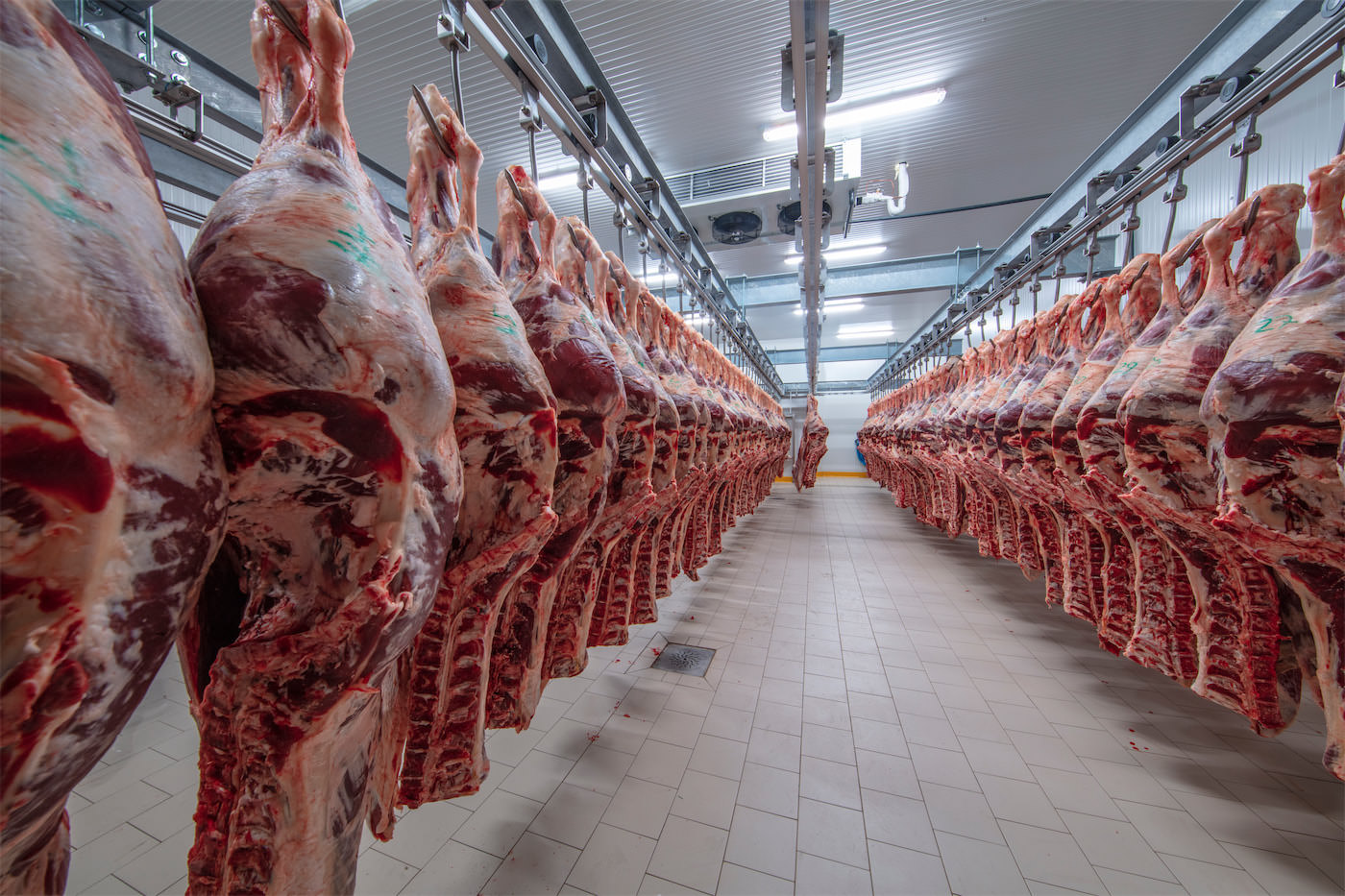 Meat Processing